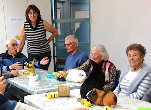 La médiation animale fait des miracles